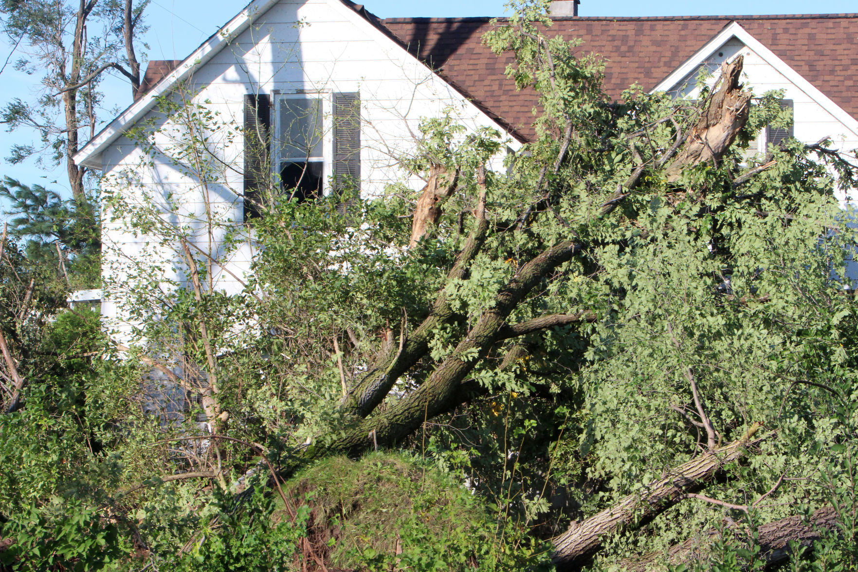 Tornado damage in near Wheaton/Elk Mound 9-25